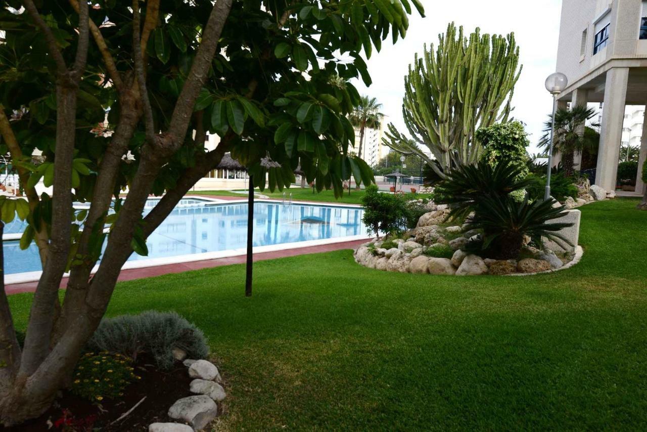 דירות אליקאנטה Apartamento Azalea Playa מראה חיצוני תמונה